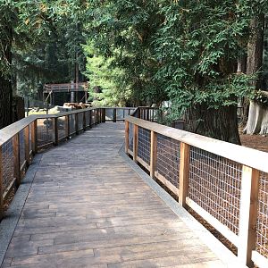 Black bear exhibit walkway (Opened summer 2023)