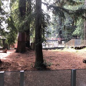 Part of main black bear exhibit (Opened summer 2023)