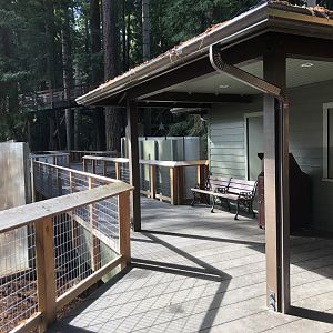 Black bear exhibit walkway (Opened summer 2023)
