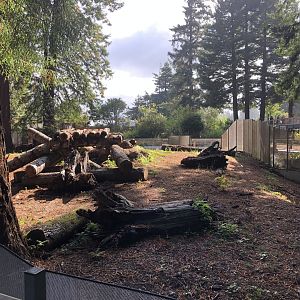 Part of main black bear exhibit