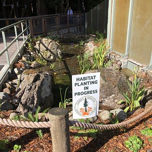Water feature next to black bear exhibit