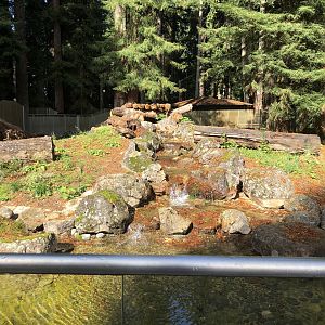 Waterfall and pond in main black bear exhibit