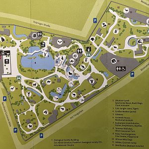Zoo Map - 2019
