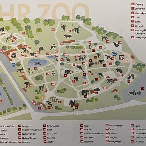 Zoo Map - undated