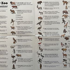 Species List - undated