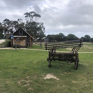 Small Nocturnal House in Kangaroo Walkthrough