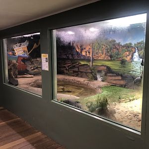 Freshwater Crocodile Enclosure