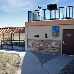 b.f. ferret exhibit