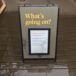 New Bornean Orangutan Signage