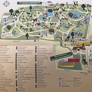 Zoo Map - 2007