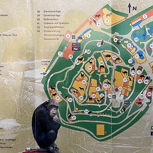 Zoo Map - 2001