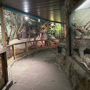 Rainforest Walkthrough Aviary View 2