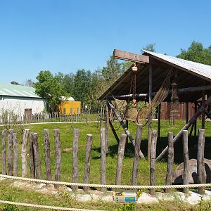 Aldabra giant tortoise paddock, 2023-05-19
