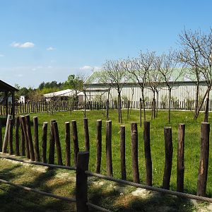 Aldabra giant tortoise paddock, 2023-05-19