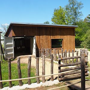 Aldabra giant tortoise barn, 2023-05-19