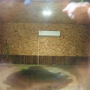 Indoor housing Aldabra giant tortoises, 2023-05-19