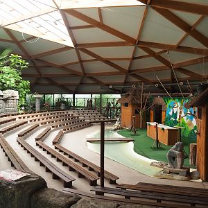 Arena for parrot show, 2023-05-19