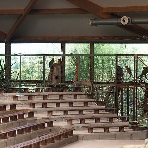 Indoor parrot aviaries, 2023-05-19