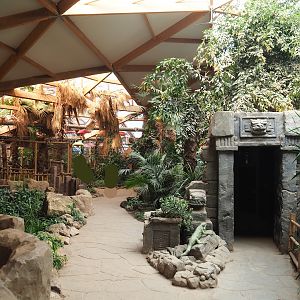 View in tropical house with entrance of the little reptile temple on the right side, 2023-05-19