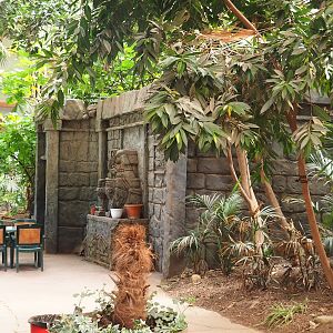 Exterior of the small reptile temple, 2023-05-19