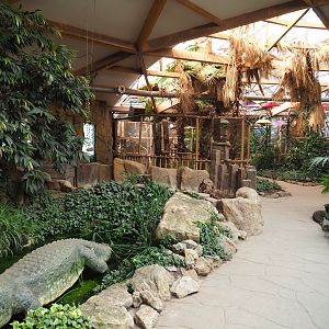View towards the aviary section of the tropical building, 2023-05-19