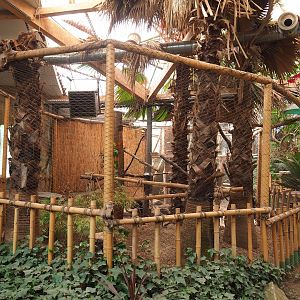 Great curassow aviary, 2023-05-19