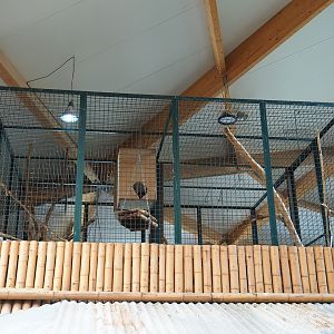 Closed-off parrot aviary above woylie and possum exhibit, 2023-05-19