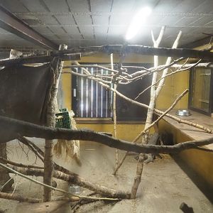 Western woylie and Brushtail possum exhibit, 2023-05-19