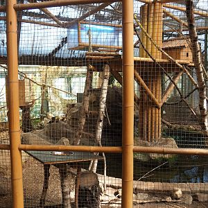 Violet turaco aviary, 2023-05-19