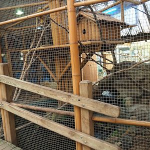Violet turaco aviary, 2023-05-19