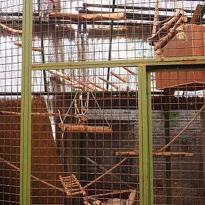 Galah aviary, 2023-05-19