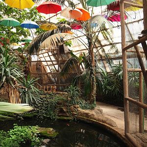 Large goldfish pond in aviary section of tropical building, with walkway and trumpeter hornbill aviary behind it, 2023-05-19
