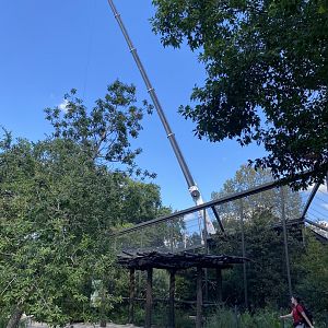 Crane for Birds of the World construction seen from the Pantanal