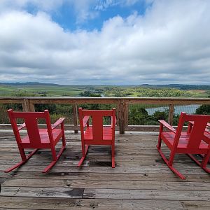 The Wilds - View from Overlook