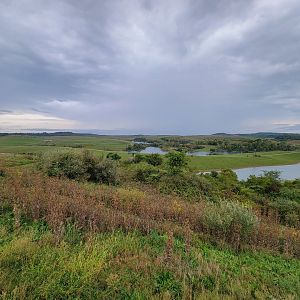 The Wilds - View from Overlook