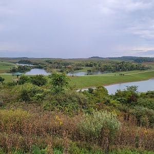 The Wilds - View from Overlook of Zipline course