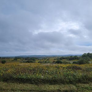 The Wilds - Butterfly habitat/horseback ride area