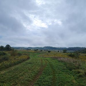 The Wilds - Butterfly habitat/horseback ride area