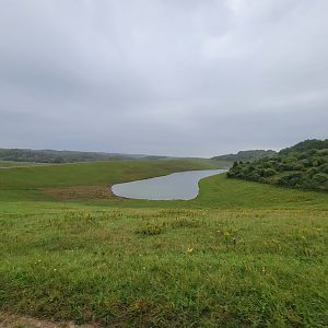 The Wilds - First pasture