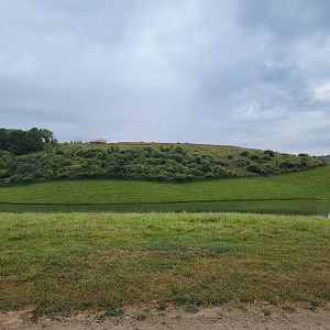 The Wilds - Yurt up on a hill