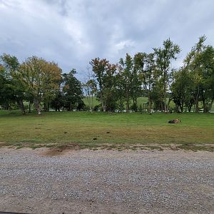 The Wilds - Sichuan takin