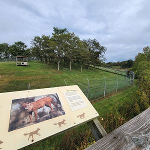 The Wilds - Dhole yard #1, with #2 to the right and barely visible