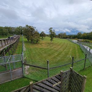 The Wilds - Cheetah yard #