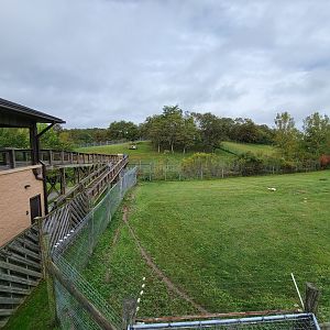 The Wilds - Cheetah yard #1, with Dhole yard #1 behind it