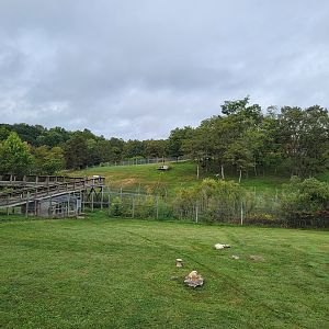 The Wilds - Cheetah yard #1, with Dhole yard #1 behind it