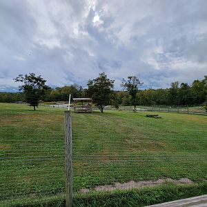 The Wilds - Cheetah yard #2