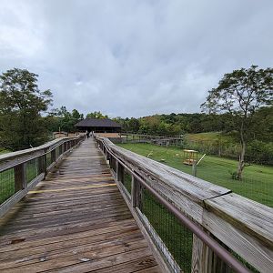 The Wilds - View of Terrace Grill, ramp from end of cheetah boardwalk