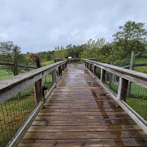 The Wilds - Overlook for Cheetah yard #1