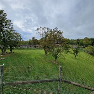 The Wilds - Cheetah yard #1 from the overlook