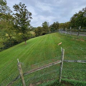 The Wilds - Cheetah yard #1, far end